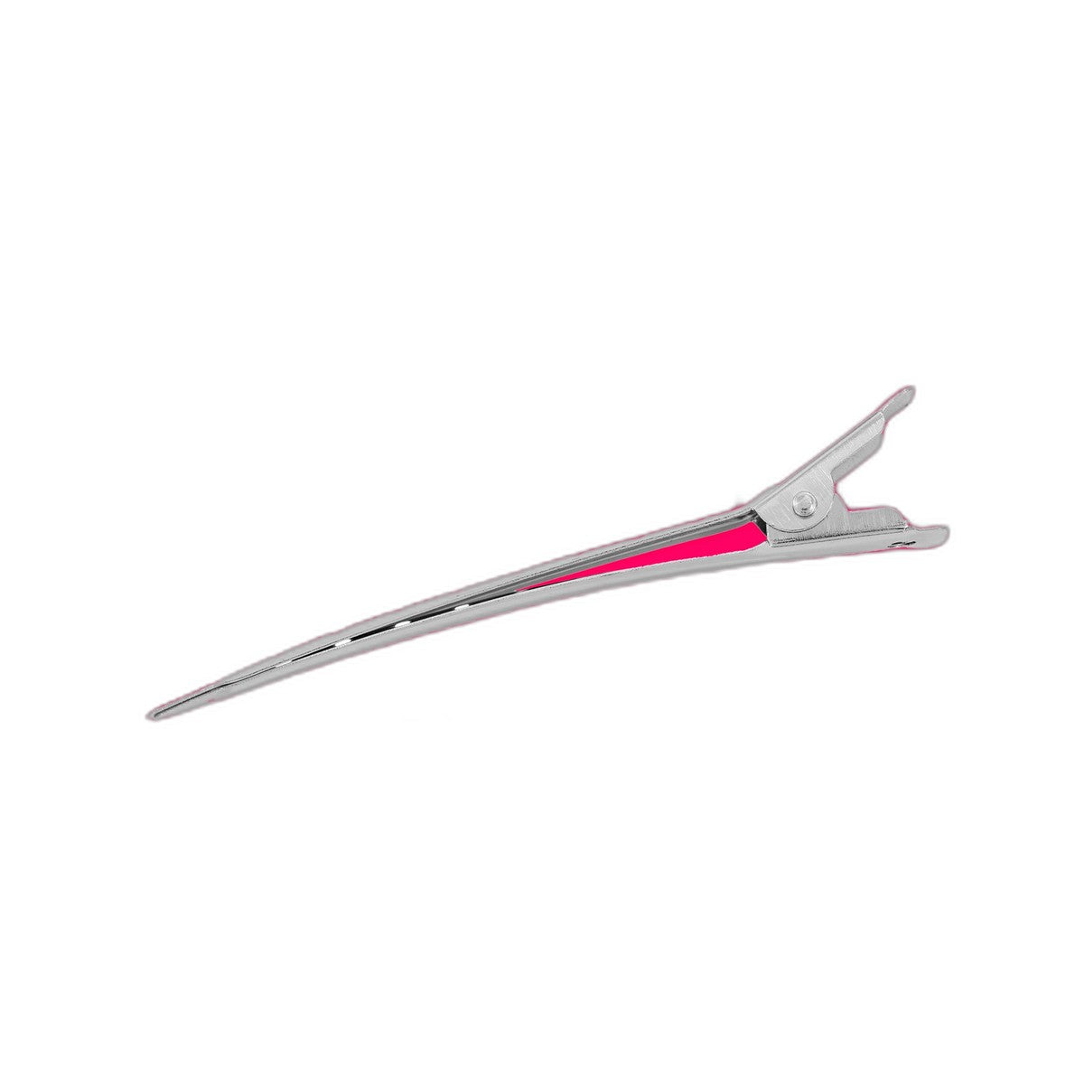 Single Prong Pin-Up Salon Hair Setting Clips, Silver, 30 Count